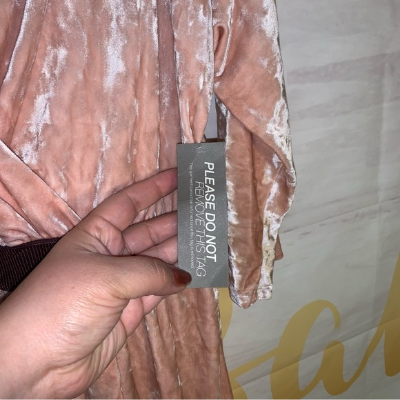 Eva Mendes Pink Crush Velvet Dress A25021 - Picture 7 of 13